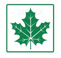 Sticker Maple Leaf with veins